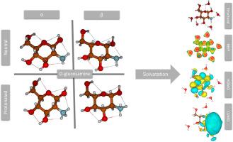 The role of protonation and solvation in modulating the electronic structure in α- and β-D-glucosamine: A density functional theory study