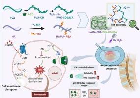 Smart responsive injectable hydrogel loaded with icariin inhibits ferroptosis and promotes nucleus pulposus repair in intervertebral disc degeneration