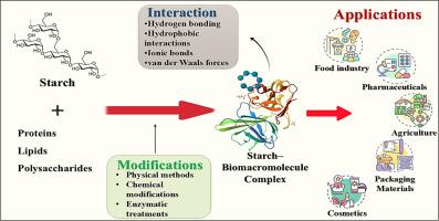 Starch–biomacromolecule complexes: A comprehensive review of interactions, functional materials, and applications in food, pharma, and packaging