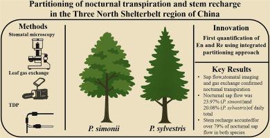 Partitioning of nocturnal transpiration and stem recharge in the Three North Shelterbelt region of China