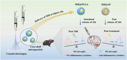 Realization of differential release of minocycline hydrochloride from electrosprayed polymeric or biomacromolecular microparticles for the repair of traumatic brain injury