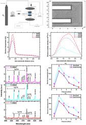 Simulations of parallel electrode glow discharge and comparison with experimental results