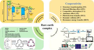 Progress in the application of rare earth complex-based fluorescent probes in the field of detection