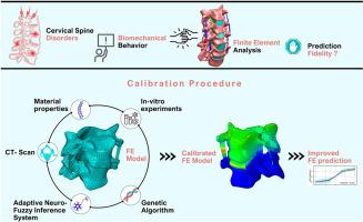 A novel methodology for calibration and experimental validation of cervical spine biomechanics models using ANFIS and genetic algorithm