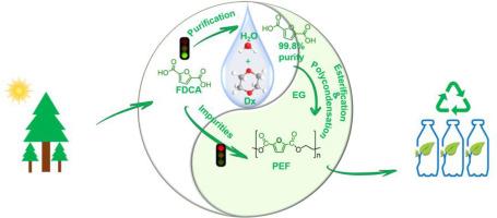 Impact of impurities in 2,5-furandicarboxylic acid on the synthesis of Poly(ethylene 2,5-furandicarboxylate) and its purification by crystallization in a binary solvent system