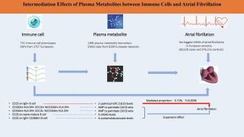 Genetically predicted plasma metabolites mediate the causal role of immune cells in atrial fibrillation