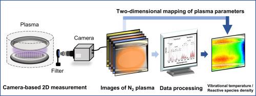 Spectroscopic characterization of two-dimensional distributions of vibrational temperature and reactive nitrogen species density in low-pressure nitrogen plasma