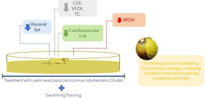Consumption of Brazilian palm fruit (Acrocomia intumescens drude) improves biochemical and gut microbiome parameters, reducing cardiovascular risk in exercised rats