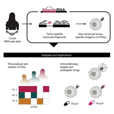 NovumRNA: Accurate prediction of non-canonical tumor antigens from RNA sequencing data