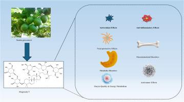 Mogroside V: Molecular mechanisms and therapeutic applications