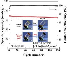 Revealing the mechanism on HF-induced degradation of PDOL-based electrolytes for high-temperature solid-state lithium metal batteries