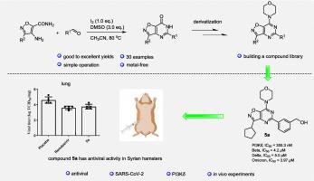 Modular synthesis of isoxazolopyrimidine derivatives with anti-SARS-CoV-2 activity