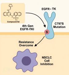 Quinazoline-based fourth-generation EGFR tyrosine kinase inhibitors to overcome C797S-mediated resistance in non-small cell lung Cancer (NSCLC)
