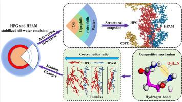 Adsorption mechanism of polymers at the oil-water interfacial film and its effect on interfacial stability