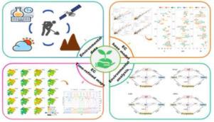 Seasonal climate drives soil salinity dynamics through vegetation and water regulation