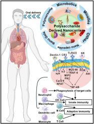 Leveraging polysaccharide-derived nanocarriers to open new horizons in oral vaccine activation