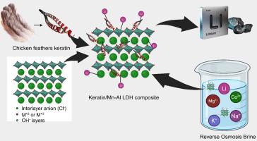 High-efficiency lithium recovery from desalination brine via MnAl layered double hydroxide