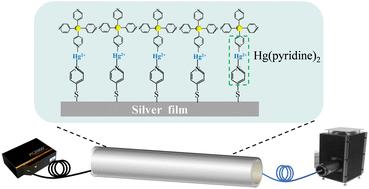 Gold nanoparticles-enhanced hollow fiber surface plasmon resonance sensor for highly sensitive detection of mercury(ii) ions