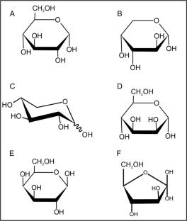 Non-starch Polysaccharides from Fruit and Vegetable Waste: Potential and Sustainable Recycling Approaches