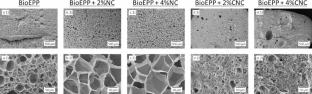 A New Expanded Bead Foam Based on Bio-polypropylene (BioEPP): Fabrication and Reinforcement with Nanoparticles