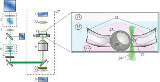 Embryo Trophectoderm Cell Biopsy Using Femtosecond Laser Pulses