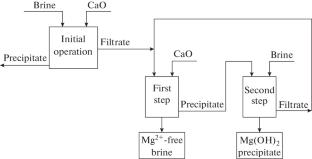Magnesium Products from Associated High-Mineralized Chloride Brines