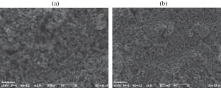 Study of the Composition, Structure, and Radiation Resistance of Optical Properties of a Dielectric Protective Polymer Paste for Flexible Substrates