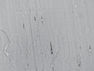 Abstract Image