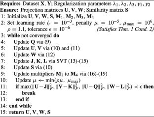 Robust low-rank representation with structured similarity learning for multi-label classification