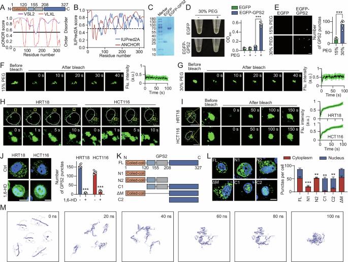 Correction: Liquid-liquid phase separation of GPS2-LATS1 promotes colorectal cancer progression by reprogramming lipid metabolism