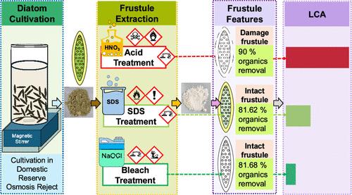 Optimizing Biogenic Silica Recovery from Diatoms: A Life Cycle Analysis of Surfactant and Bleach Treatments