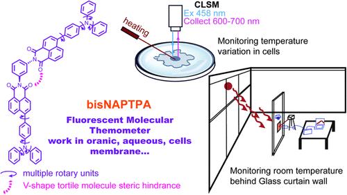 Red-Emissive Fluorescent Thermometer for Real-Time Monitoring of Intracellular and Architectural Glass Facade Temperature Variations