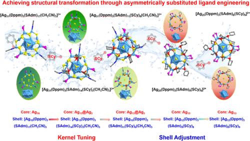 Ligand Engineering-Driven Visualization of Asymmetric Exchange: Unraveling the Structural Evolution of Ag31 to Ag25