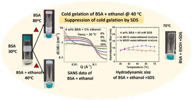 Controlling the cold-set gelation of Bovine Serum Albumin protein using alcohol and ionic surfactant