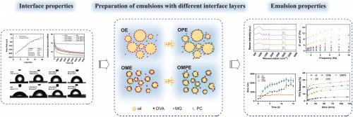 Natural non-nutritive sweetener mogroside interacts with ovalbumin to improve the properties of ovalbumin/citrus pectin bilayer emulsion