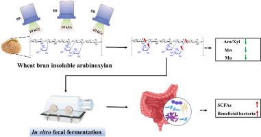 Electron beam irradiation unlocks the prebiotic potential of wheat bran arabinoxylan: Structural modification and gut microbiota modulation