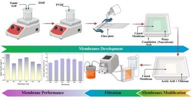 Tailoring PVDF membrane antifouling properties via tannic acid blending and chitosan surface coating
