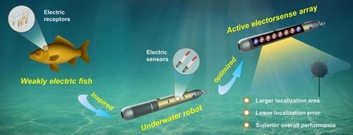 Sensor placement strategy and evaluation for underwater active electrosense arrays