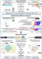 Transcriptomic profiling unveils novel therapeutic options for drug-resistant temporal lobe epilepsy