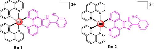 Interaction of ruthenium(II) complexes [Ru(phen)2(o-CNPIP)]2+ and [Ru(phen)2(o-CH3PIP)]2+ with double-stranded RNA poly(rA)•poly(rU) in both dilute and molecular crowding solutions