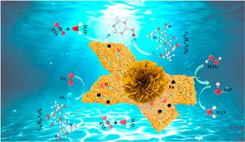 Precision vacancy engineering and element refilling in S-scheme C3N5/Bi2MoO6 heterojunction for efficient photo-Fenton degradation of tetracycline