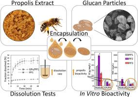 Evaluation of in vitro bioactivity profile of bee propolis extracts delivered by yeast glucan particles