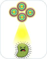 AuNP-based colorimetric and fluorometric sensors for detection of pathogenic bacteria: A review (2015–2025)