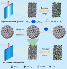 Proton transport mediated mesoporous SiO2 nanospheres for long-life lead-carbon battery