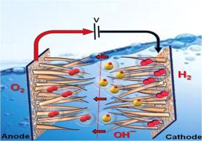 Highly active and durable MNS bifunctional electrocatalysts for enhanced anion exchange membrane water electrolysis