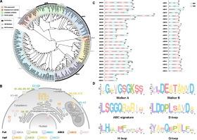 Genome-wide identification, docking and expression analysis of ATP-binding cassette gene family of Parnara guttata, a major rice pest (Insecta: Lepidoptera: Hesperiidae)