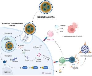 SitoC7A-modified lipid nanoparticles for integrated mRNA delivery and targeted STING activation