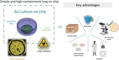 Simple and high-containment lung-on-chip model for studying respiratory viral infections using human primary lung cells