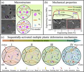 Sequentially-activated multiple deformation mechanisms enable a hierarchically duplex titanium alloy with high strength-ductility synergy