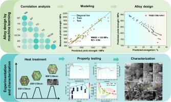 Design biomedical β-Ti alloys with exceptional strength-ductility balance via domain knowledge-based machine learning